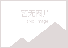 大安晓夏建设有限公司